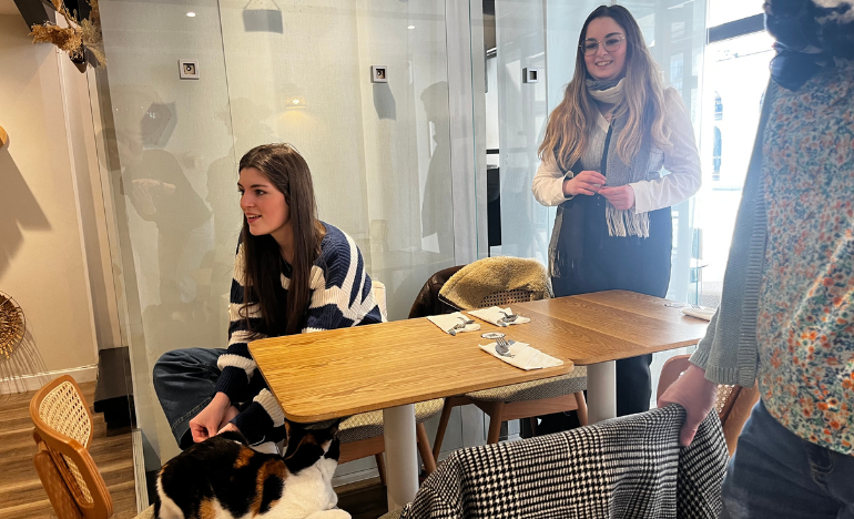 Rêve Chats