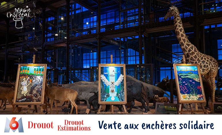 Lancement vente aux enchères Lego Masters x Magie à l'hôpital