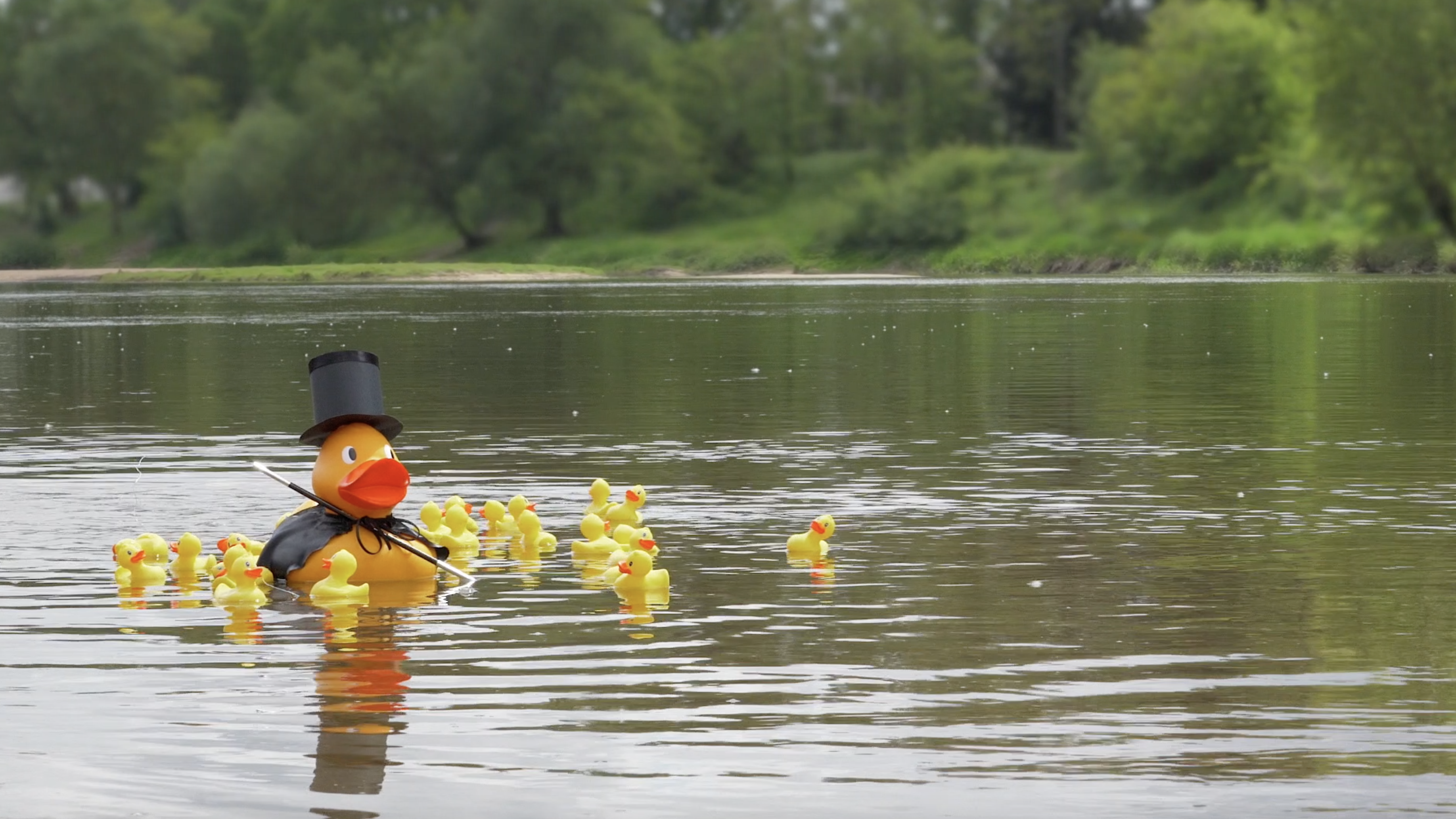 Duck Race - Magie à l'hôpital