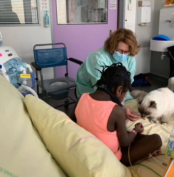 un chat à l'hôpital Necker de Paris , association Magie à l'hôpital