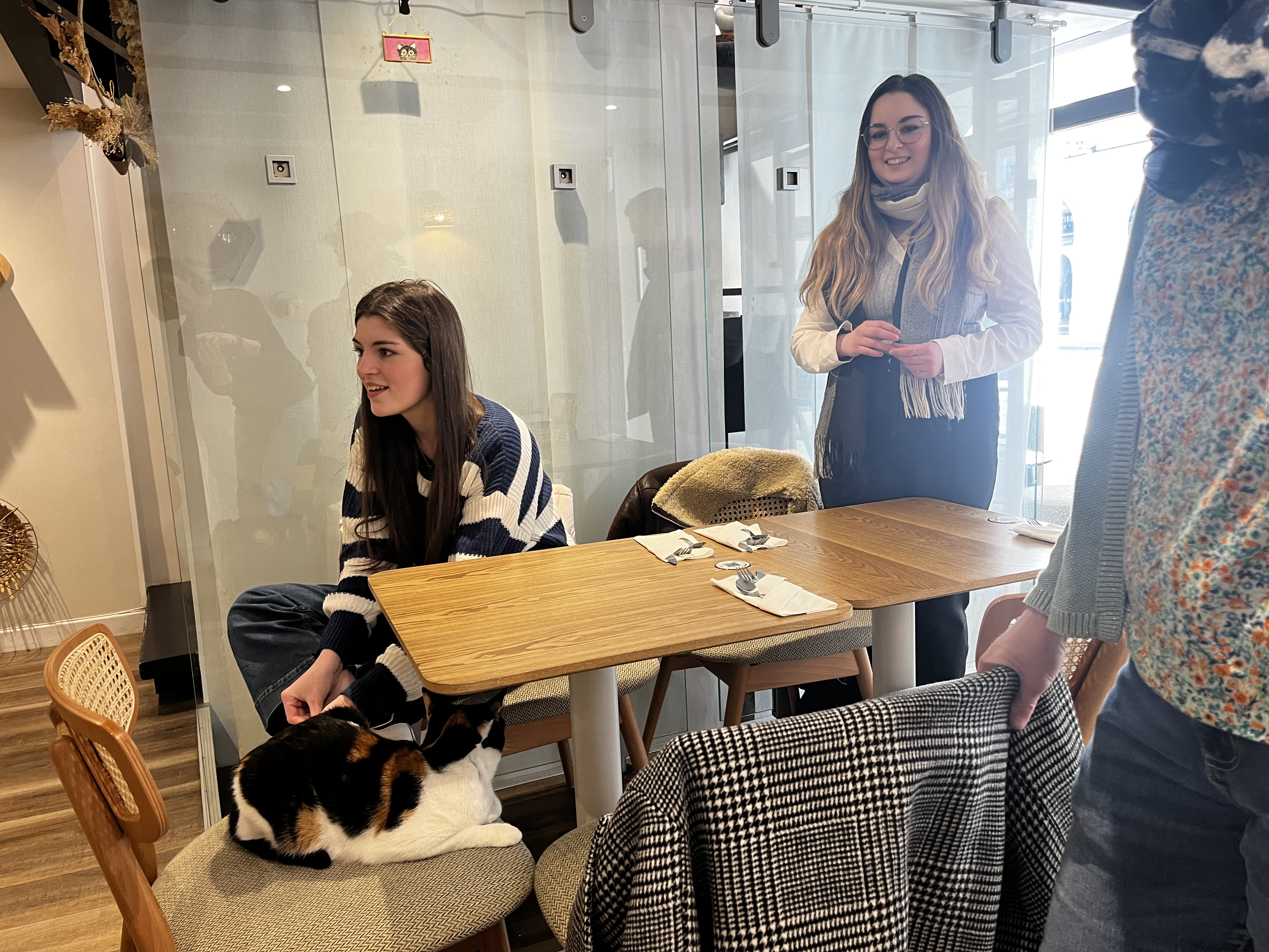 Pauline bar à chats et parfum