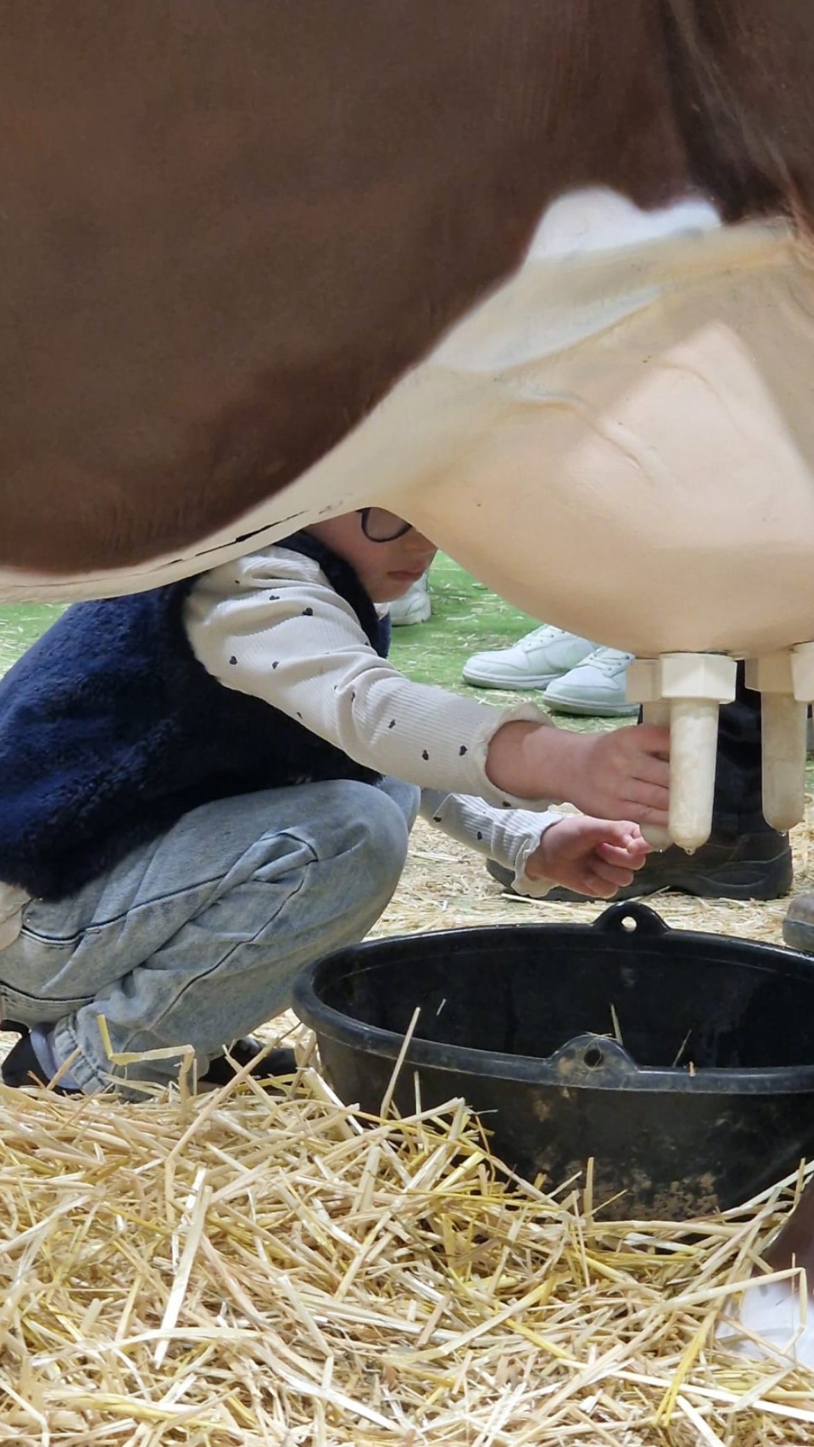 Salon de l'agriculture 2026 - Magie à l'hôpital