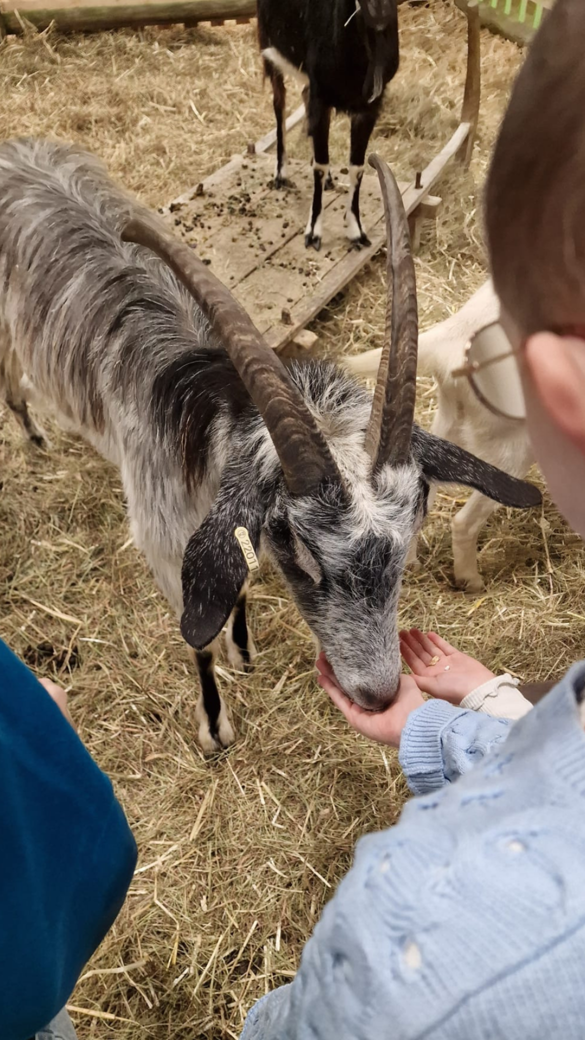 Salon de l'agriculture 2026 - Magie à l'hôpital