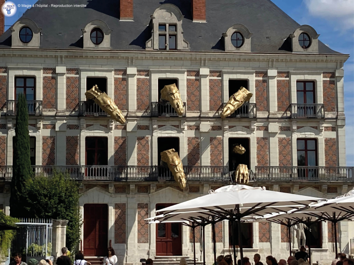 Maison de la Magie Blois association Magie à l'hôpital