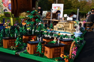 Center Parcs x Magie à l'hôpital 20 ans