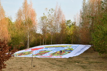 Center Parcs x Magie à l'hôpital 20 ans