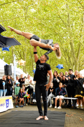 Lancement du voyage magique