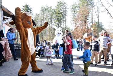 Journée Center parcs Bois aux daims