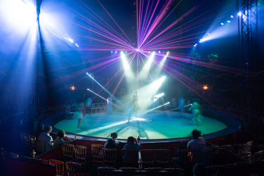Cirque Bormann et Magie à l'hôpital