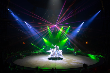 Cirque Bormann et Magie à l'hôpital