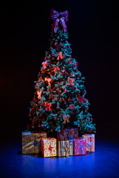 Spectacle de Noël 2025