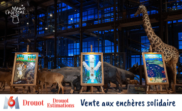 Lancement vente aux enchères Lego Masters x Magie à l'hôpital