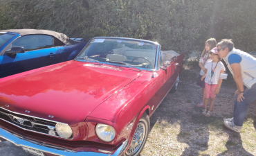 Reve- Mustang_Hauts de Choiseul