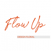 Flow'up